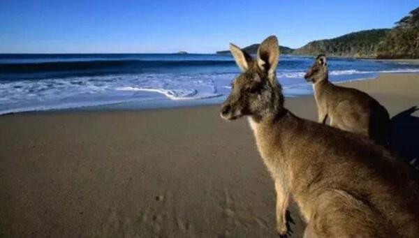 微信截圖_20200120145826