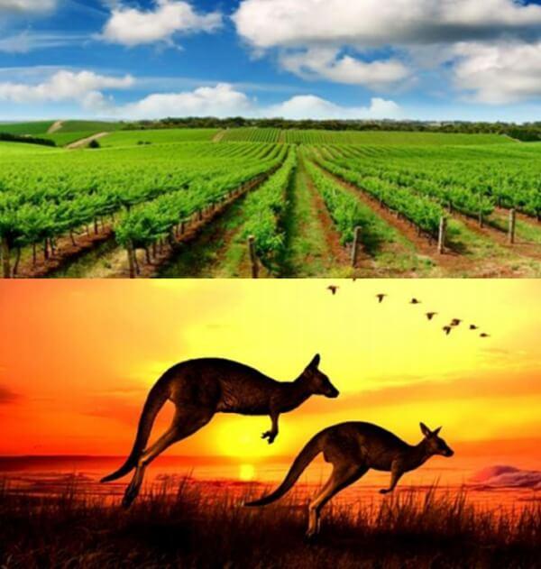 微信截圖_20200120173930