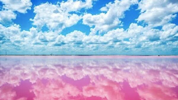 微信截圖_20200120174350