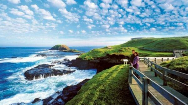 微信截圖_20200120174017